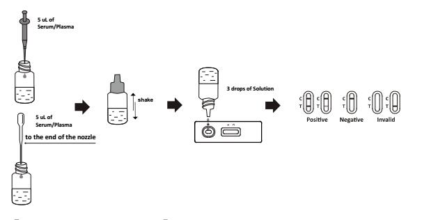Rheumatoid Factor Test Serum Plasma Lateral Flow Immunochromatographic Assays