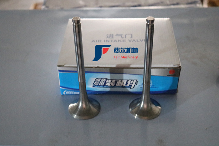 Original Authentic Weichai Deutz Exhaust Valve 12159608 For Loader