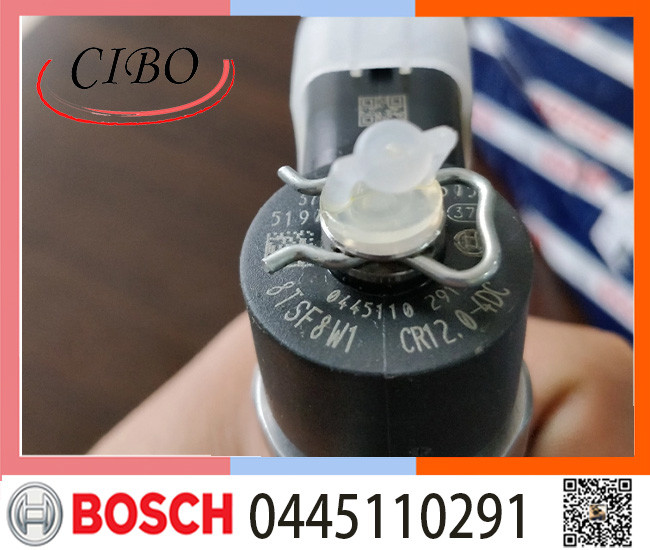 0445110291 Fuel Injector Nozzle