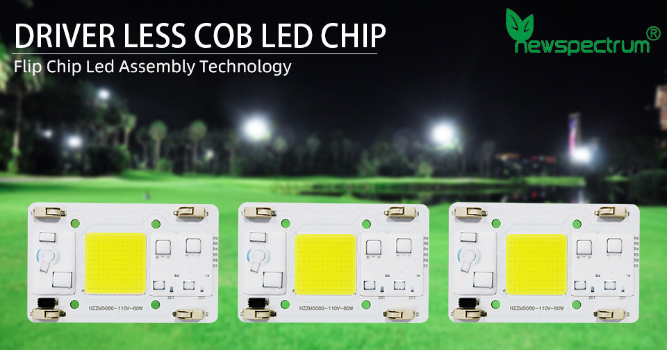 No Need Driver COB LED Grow Chip Size 50mm For Flower Seedling Plant Light