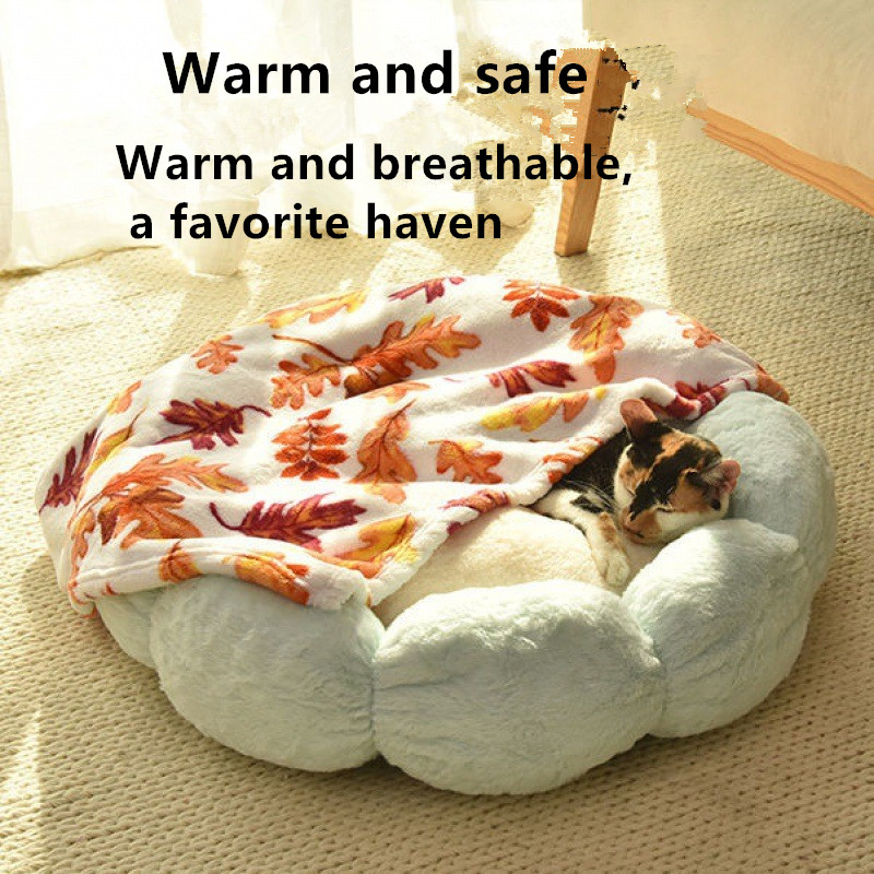 deluxe dog bed