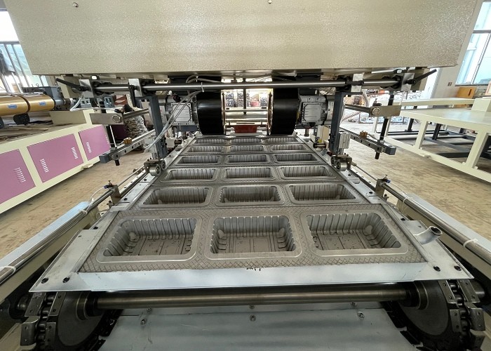 Automatic Pvc Blister Machine Food Take Away Disposable Lunch Box Making Machine