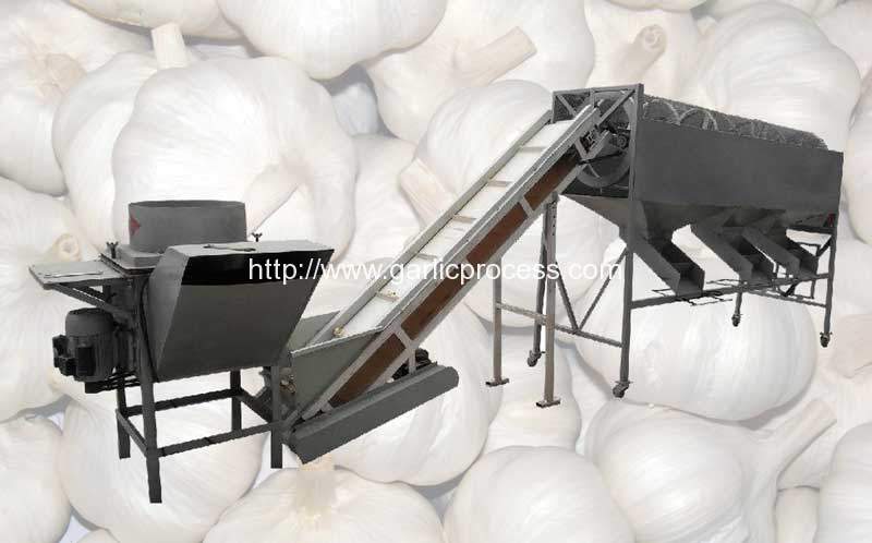 garlic-clove-separating-and-clove-size-grading-machine