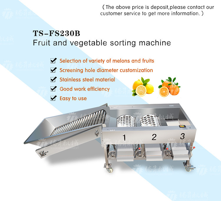 150KG 380V Lemon screening and grading machine stainless steel fruit sorting machine citrus fruit sorting machine
