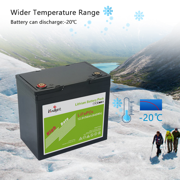 50AH 12.8V LiFePO4 Lithium Battery Backup Power Grade A Built In BMS