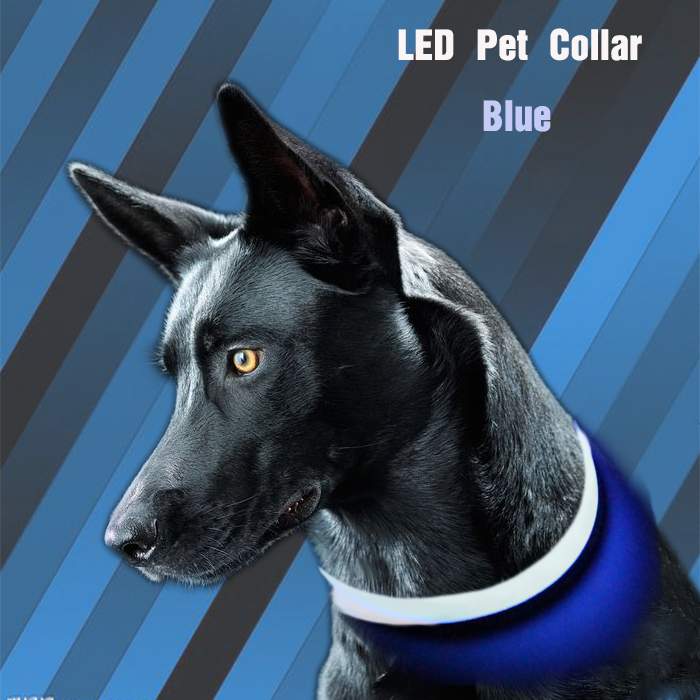 Custom USB LED Dog Collar Nylon Print Adjustable Reflective Rechargeable Waterproof