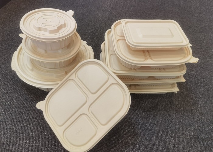 Thermoforming Automatic Blister Machine Food Packing Container Making Machine