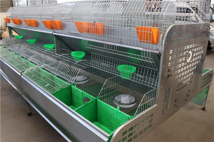 2400 * 2000 * 1500mm Farm Rabbit Cage Q235 Steel Wire / Plastic Material