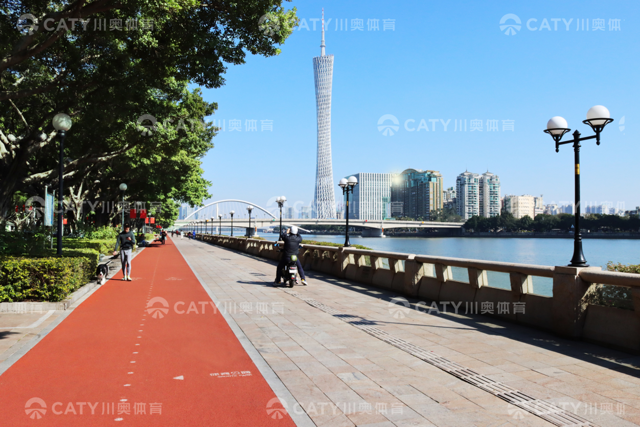 Outdoor Anti-UV Jogging Track Material EPDM Granule & PU Binderfor School College Playground