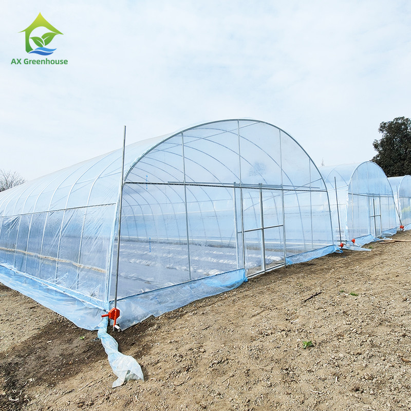 Agricultural Plastic Film Shed Poly Tunnel Vegetable Greenhouse with Cooling / Heating / Irrigation System