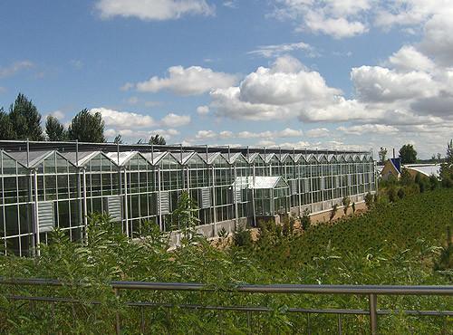 Water Proof Agricultural Glass Greenhouse , Diy Tomato Greenhouse Good Light