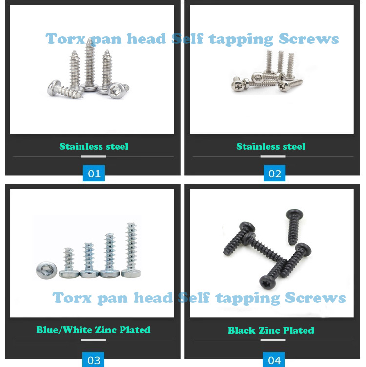 Black Oxide Finish Torx Round Pan Head Self-Tapping Screws for OEM Customized Service