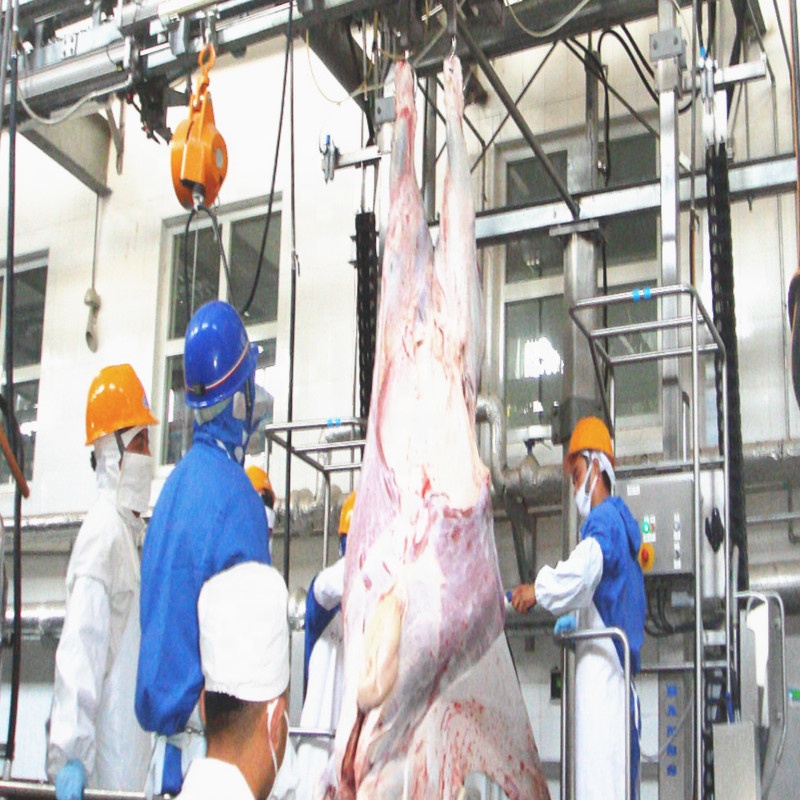 ISO9001 CE Slaughterhouse Cow Machine Stainless Steel 304 Cow Feet Hair Removing Machine