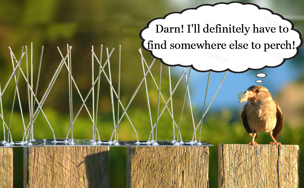Spikes for birds animal stainless steel bird spikes window sills