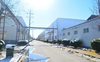 Anping Wushuang Trade Co., Ltd