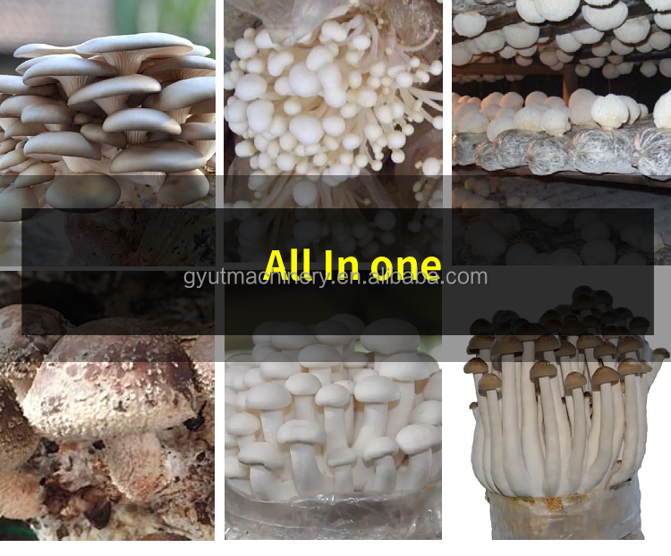 3kw Mushroom Bagging Machine for Fungus Compost Grow Stick Bagging at Affordable