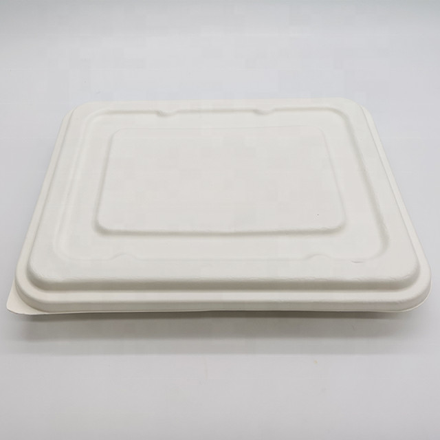 Biodegradable Food Box White Color Food Grade Sugarcane Pulp Material Non Pollution