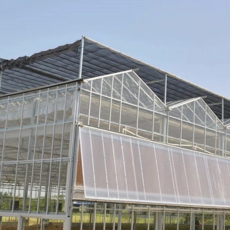 China Origin Glass Greenhouse Hydroponics System for Flowers