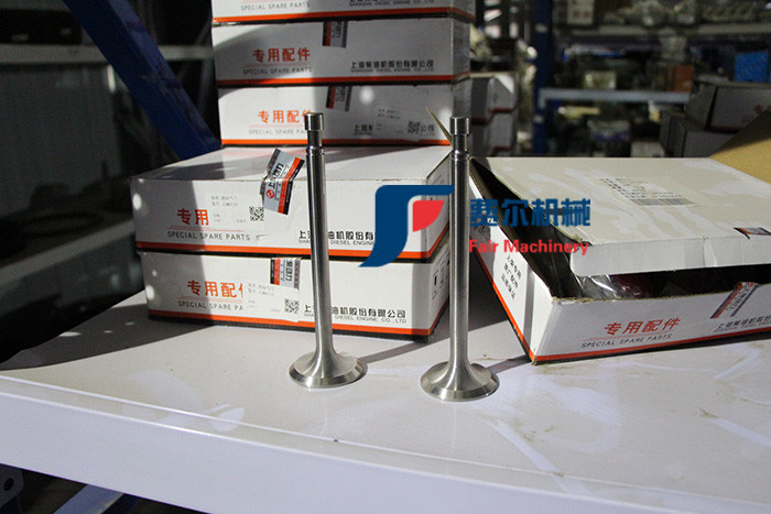 Shangchai D6114 Intake Valve Replacement D04-110-33+A For Loader