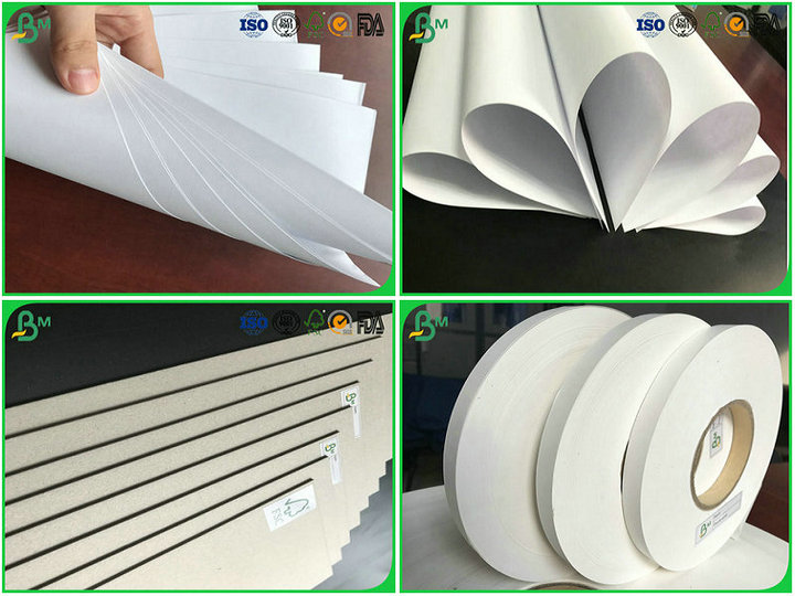 pe coated paper