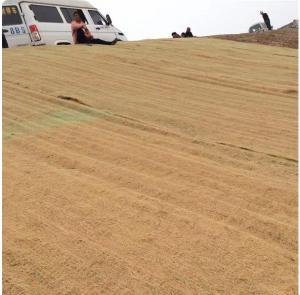 Buy cheap erosion control blanket coir Geotextile product
