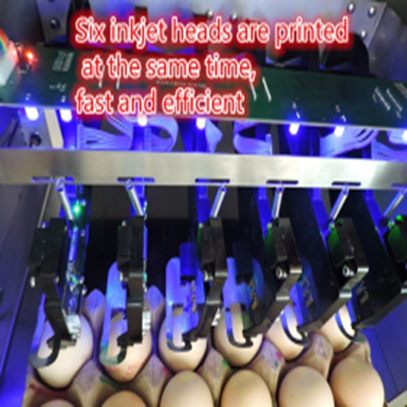 Digital Egg Batch Coding Machine / Inkjet Coding Machine For Effective Date