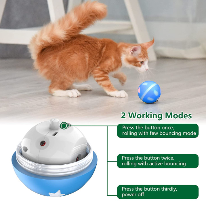 self moving dog ball