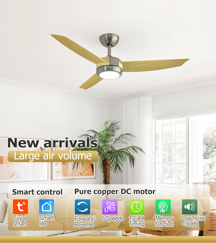 Plastic Blades LED Ceiling Fan with Light and Remote Pure Copper Motor Energy Saving 10