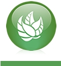 Green friendly
