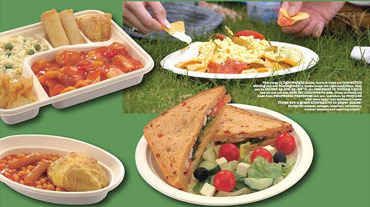 Medium size biodegradable fish dish sugarcane BBQ fish plate for picnic