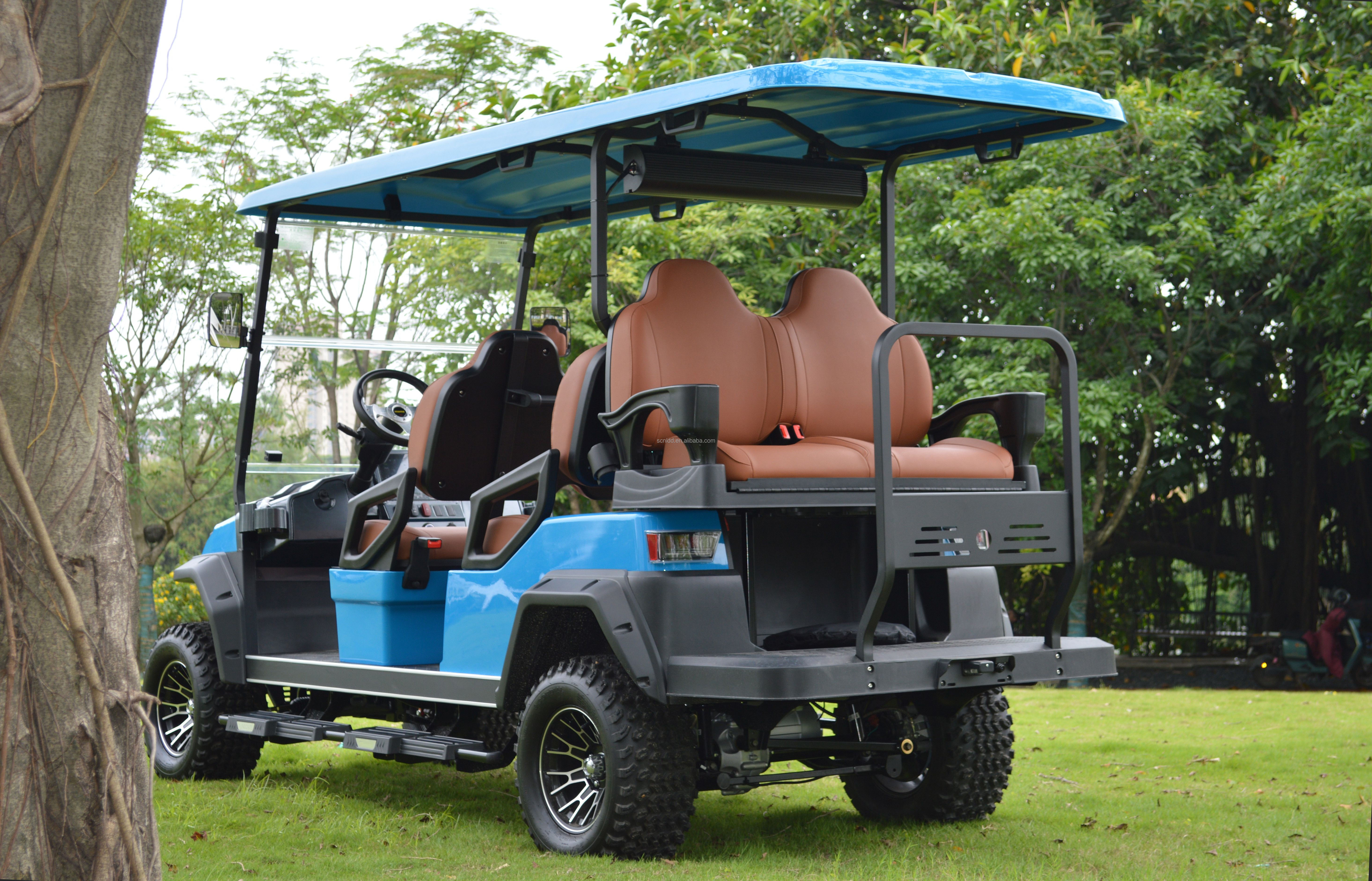 2 4 6 Seat Lifted Electric Golf Cart with DOT EEC Certification and Long-lasting Lithium Battery