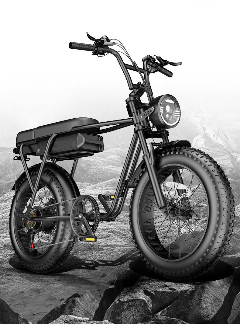 Max Speed 30-50Km/h Disc Brake Electric Fat Tire Bike 48V 400W Motor Ebike