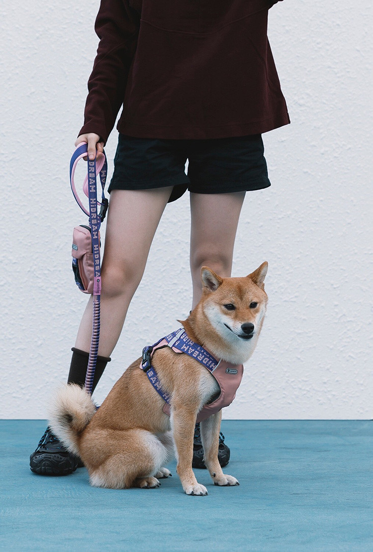 Walking Hands Free Anti Pull Dog Leash Waist Belt System Reflective Dog Leash 6'