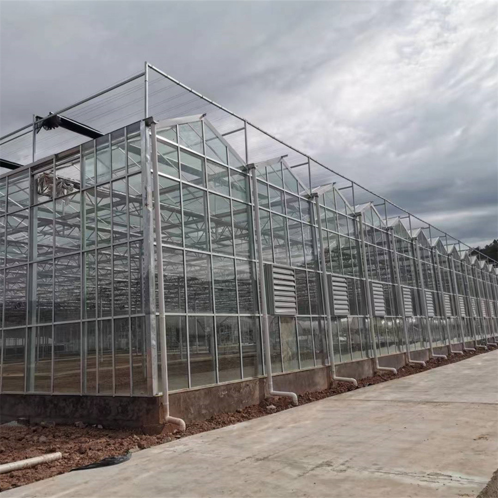 Complete Vegetables Growing Multi-span Greenhouse Fiberglass Glass Agricultural Greenhouse