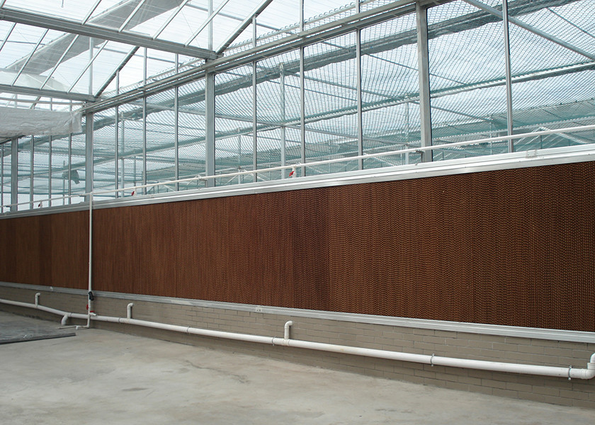 Ultra-Transparent, Sturdy Galvanized VENLO Glass Greenhouses - Ideal For High-Value Flower Cultivation