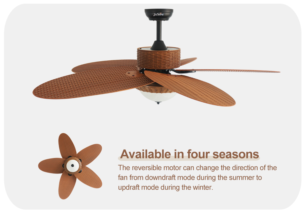 ceiling fan