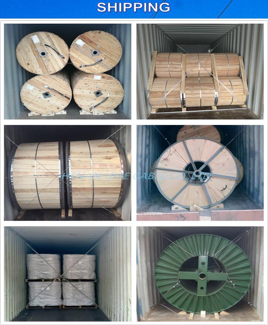 ACSR/Aw Aluminum Clad Steel Conductor Alumoweld Wire/Earth Wire 2.79mmx7strands &amp; 3.52mmx7strands