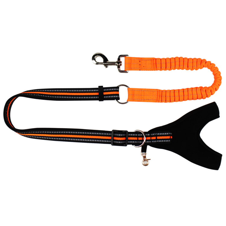 Fashion Custom Bungee Elastic Extended Retractable Nylon Braided Rope Dog Leash