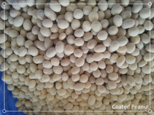 Multi-functional Coated Peanut Making Machine Chocolate Coating Machine