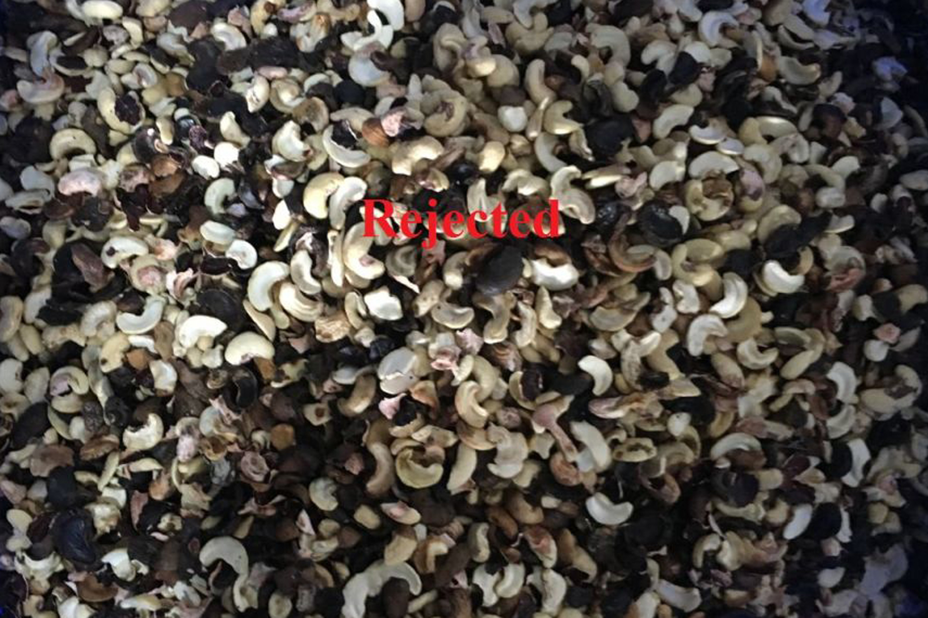Multi Function Smart Mini CCD Color Sorter , Cashew Nut Sorting Machine