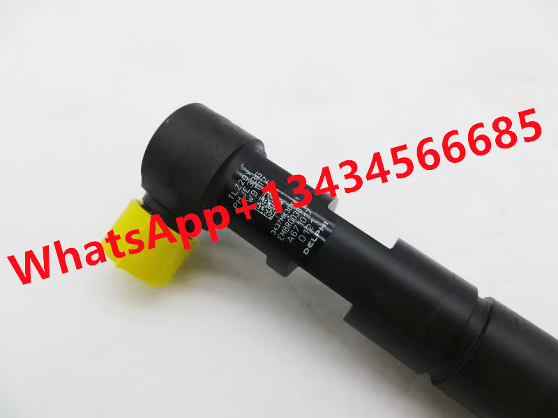 Genuine Original Common Rail Injector A6650170221 EJBR04401D R04401D For Kyron Rexton