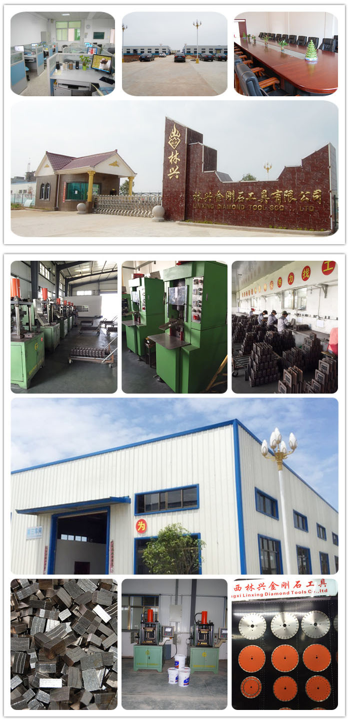 LINXING Diamond Segments for Granite Cutting 900mm-4200mm and Taper Segment Shape