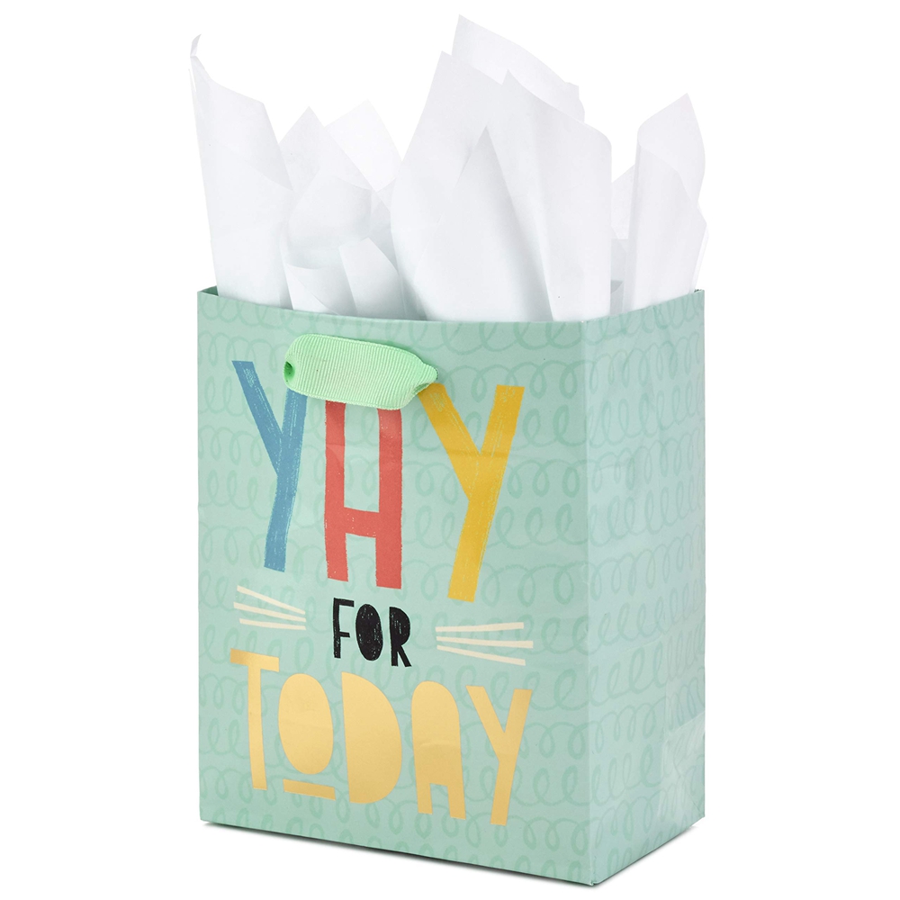 Handmade Customizable Plain Kraft Paper Bags With Logo for Eco-Friendly Packaging