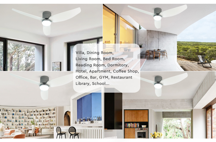 ceiling fan