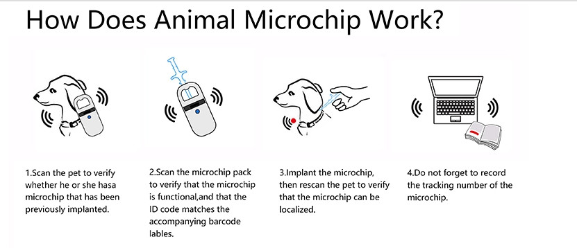 Automatic Springback Pets Animals Microchip Syringe