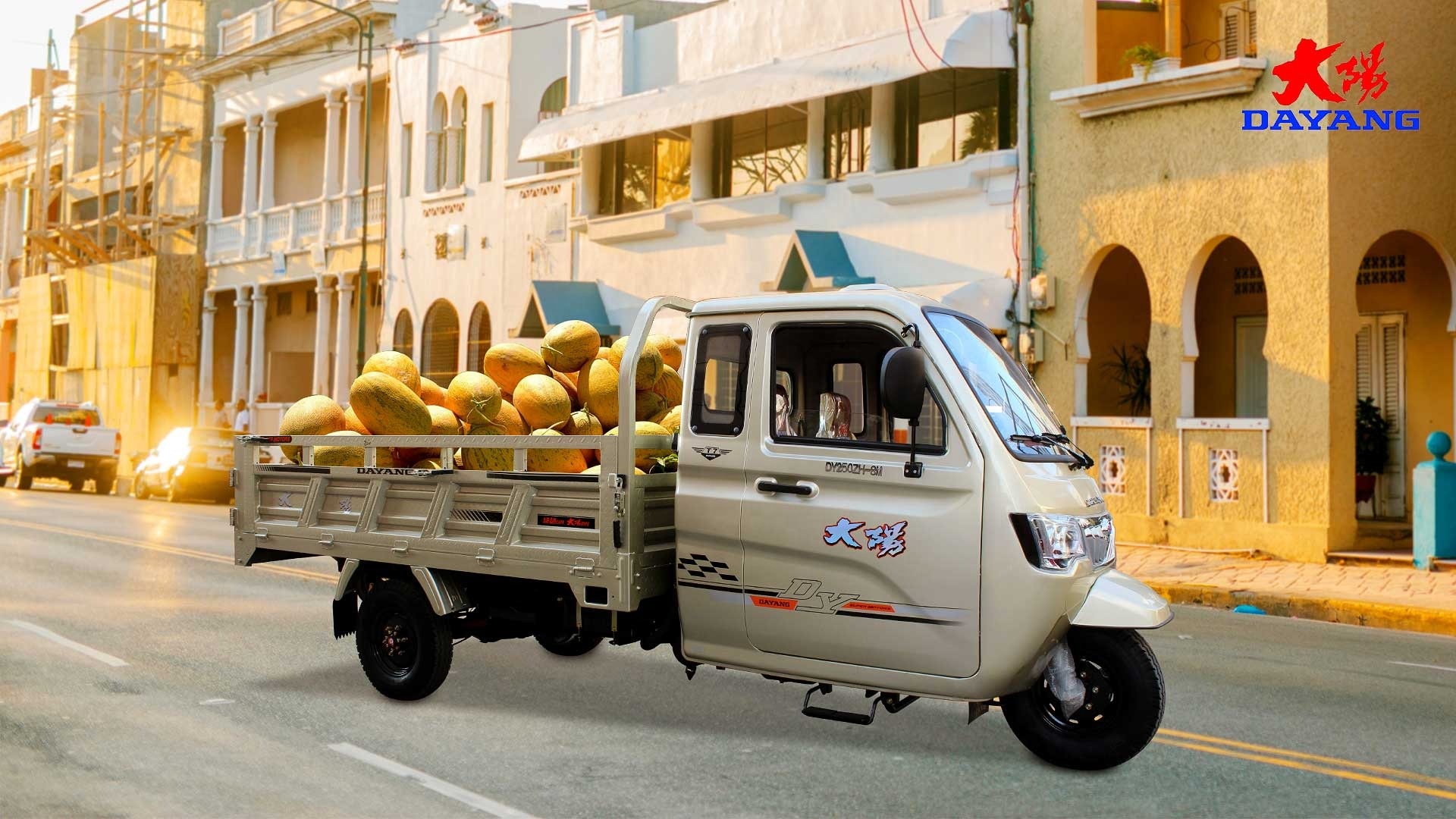 Versatile 250cc Cargo Motor Tricycle with Water Cooling Engine and Large Cargo Box