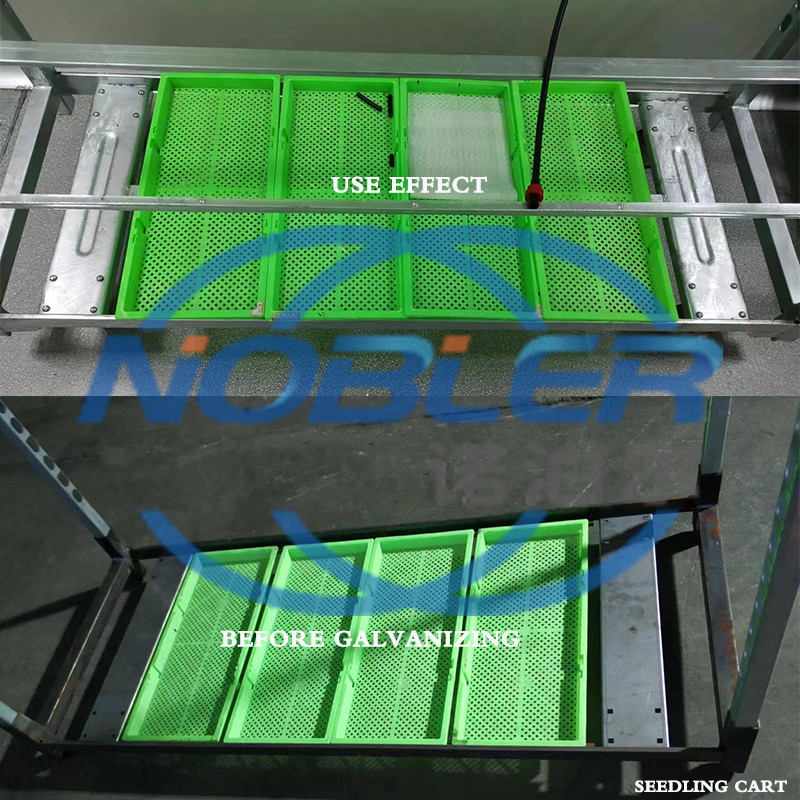 Modern Danish Flower Trolley For Green House Germination