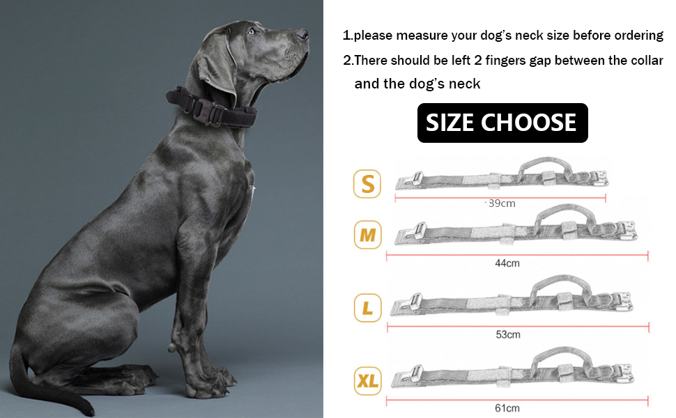 dog collar