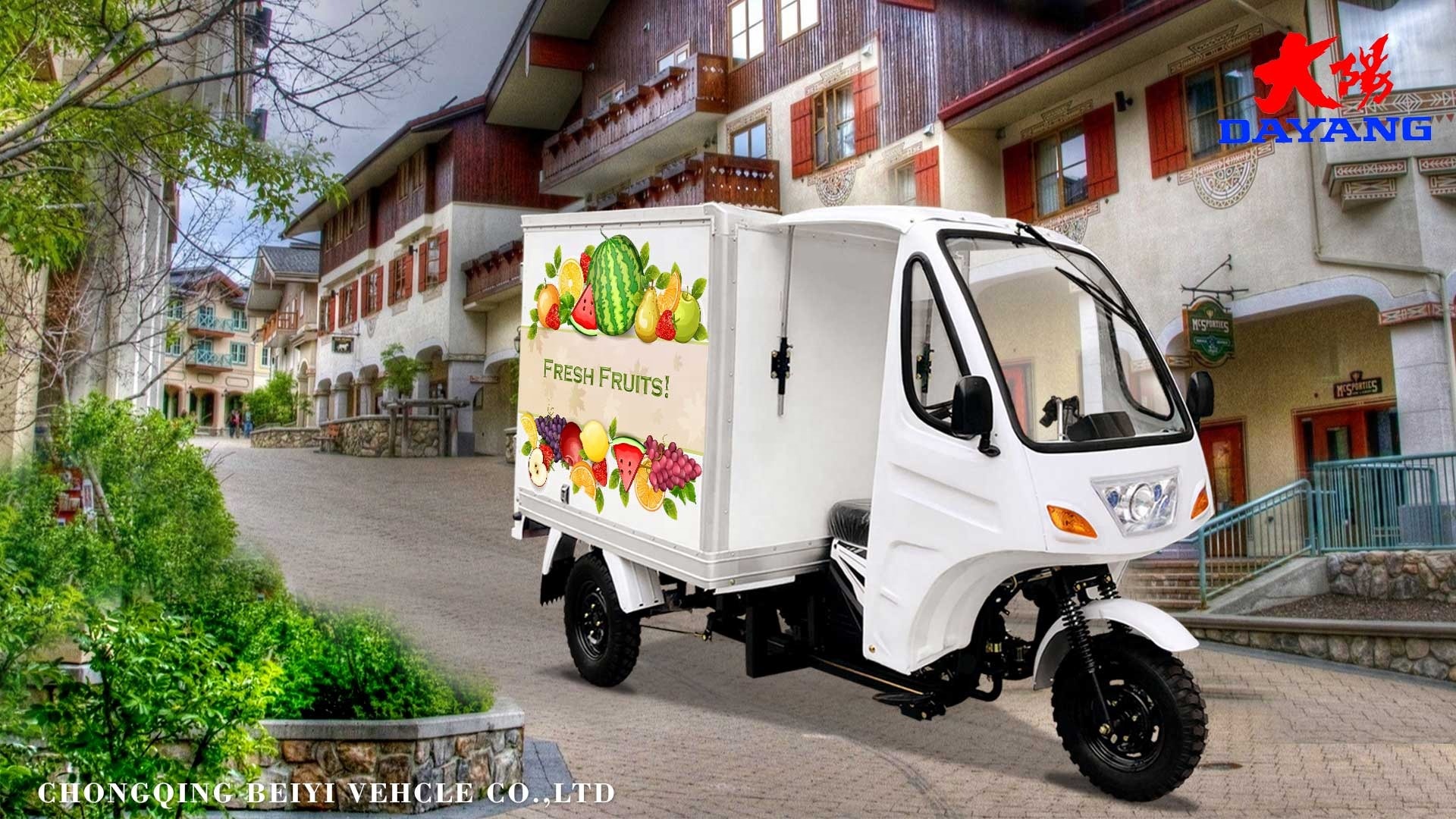 1 Passenger Petrol Motor Tricycle with 600KG Cargo Capacity and 60km/H Max Speed