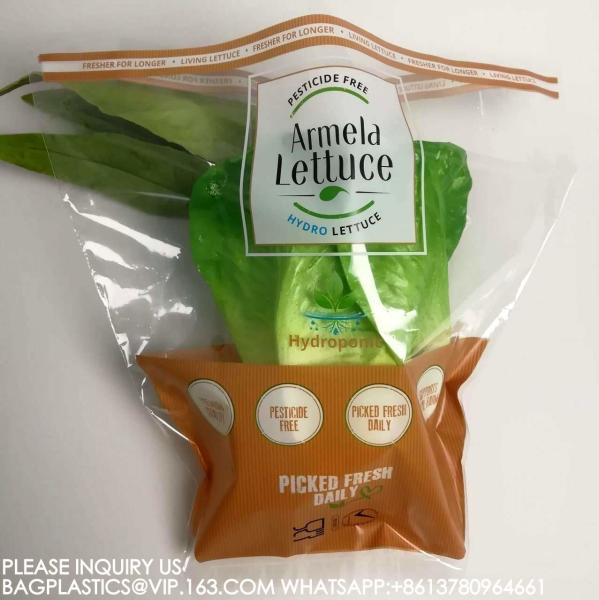 Manufacture Eco-Friendly Cellophane Vegetable Bags Customize Logo Lettuce